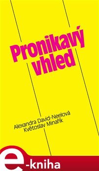 Pronikavý vhled - Květoslav Minařík