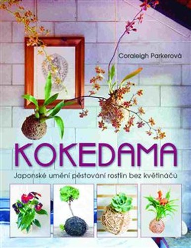 Kokedama