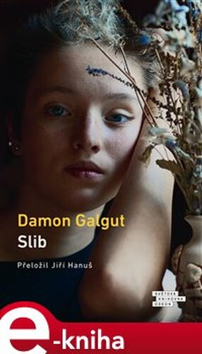 Slib - Damon Galgut