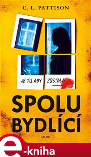 Spolubydlící