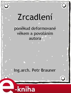 Zrcadlení - Petr Brauner