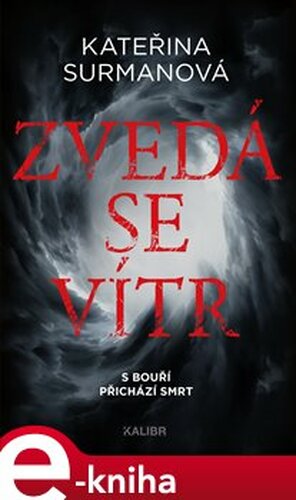 Zvedá se vítr - Kateřina Surmanová