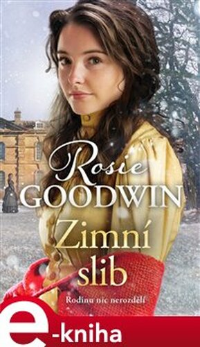 Zimní slib - Rosie Goodwin