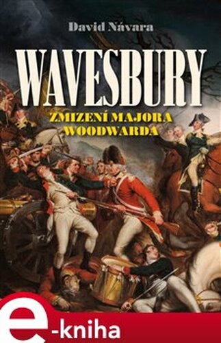 Wavesbury - Zmizení majora Woodwarda - David Návara