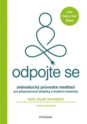 Odpojte se - Suze Yalof Schwartz, Debra Goldstein