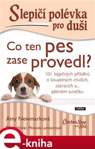 Slepičí polévka pro duši - Co ten pes zase provedl? - Amy Newmarková