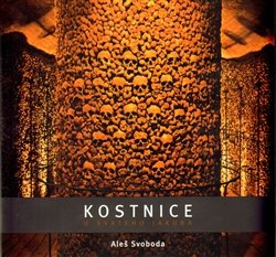 Kostnice - Aleš Svoboda