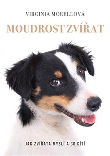 Moudrost zvířat