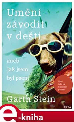 Umění závodit v dešti - Garth Stein