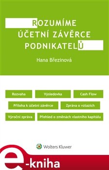 Rozumíme účetní závěrce podnikatelů - Hana Březinová