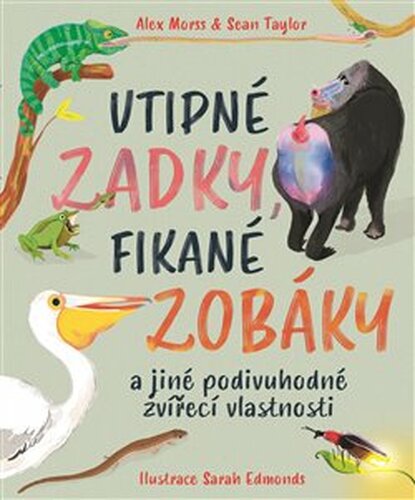 Vtipné zadky, fikané zobáky - Sean Taylor, Alex Morss