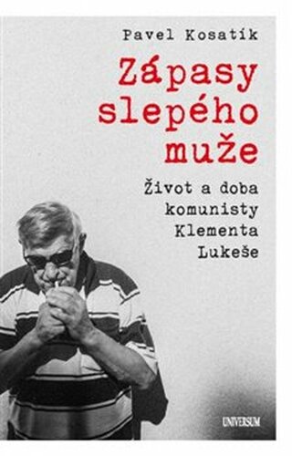 Zápasy slepého muže - Pavel Kosatík