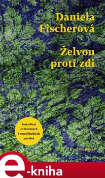 Želvou proti zdi - Daniela Fischerová