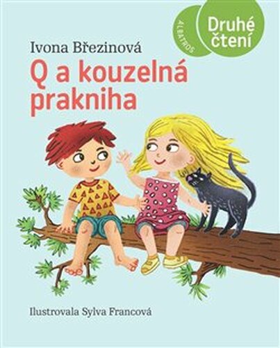 Q a kouzelná prakniha - Ivona Březinová