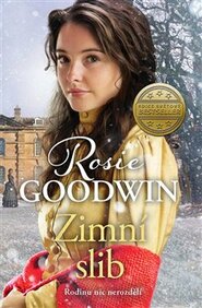 Zimní slib - Rosie Goodwin