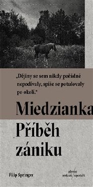 Miedzianka