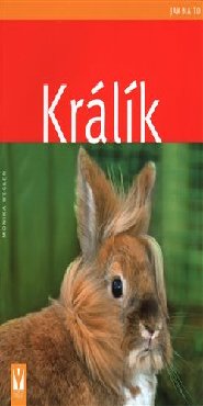 Králík