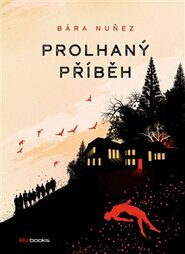 Prolhaný příběh - Barbora Nuňez