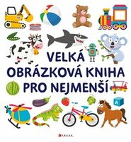 Velká obrázková kniha pro nejmenší - kolektiv