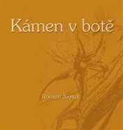 Kámen v botě - Roman Szpuk