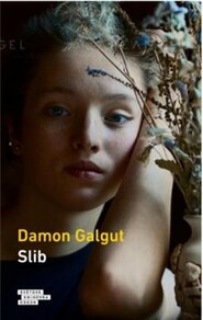 Slib - Damon Galgut