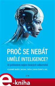 Proč se nebát umělé inteligence?