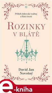 Rozinky v blátě - Dva tucty střepů - David Jan Novotný