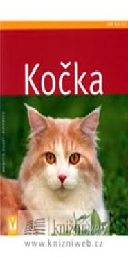 Kočka