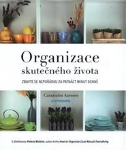 Organizace skutečného života