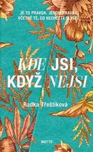 Kde jsi, když nejsi - Radka Třeštíková