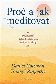 Proč a jak meditovat - Tsoknyi Rinpočhe, Daniel Goleman