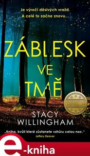 Záblesk ve tmě - Stacy Willingham